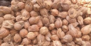 Natural Husked Coconut, Color : Brown