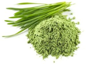 Wheatgrass Powder