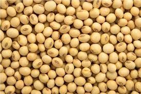 Fresh Soybean