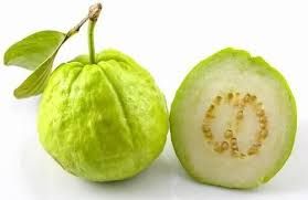 A Grade Fresh Green Guava