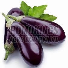 Organic A Grade Fresh Brinjal, Packaging Type : Gunny Bag For Cooking