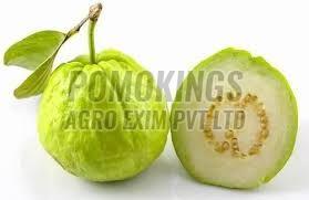 Organic A Grade Fresh Green Guava, Shape : Round