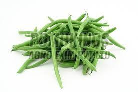 Organic A Grade Green Beans, Packaging Type : Ganny Bag