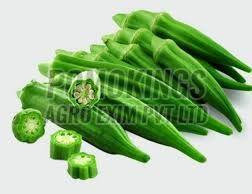 Organic A Grade Green Okra, Packaging Size : 5Kg, 10Kg, 25Kg, 50Kg