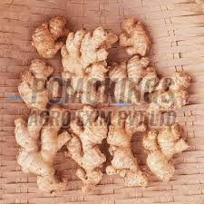 Raw Organic B Grade Fresh Ginger, Packaging Type : Gunny Bag