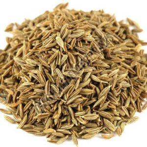 Natural Cumin Seeds, Color : Brown, Certification : FSSAI Certified, Packaging Type : Plastic Bag