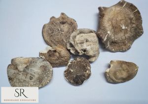 Dehydrated Shiitake Mushroom