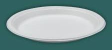 Areca Leaf Plain 9 Inch Round Plate For Serving Food