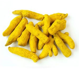 Natural Whole Turmeric, Color : Yellow for Spices