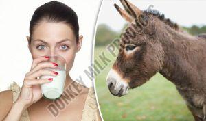 Pure Donkey Milk, Color : White, Form : Liquid, Packaging Type : Plastic Can