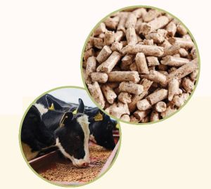 Max-fi Enriched Mixed Cattle Feed Pellet, Packaging Type : Bag