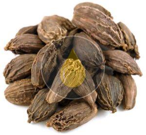 Black Cardamom, Color : Brown, Packaging Size : 5-25kg