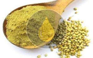 Blended Coriander Powder, Purity : 99%, Packaging Size : 5-25kg