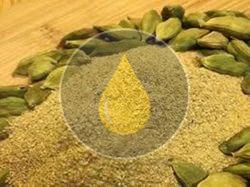 Blended Green Cardamom Powder, Purity : 99%, Packaging Size : 5-25kg