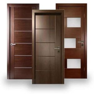 Plain Polished Laminated Flush Door Standard