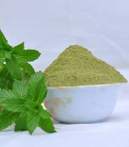 Organic Dried Mint Leaves Powder, Color : Light Green