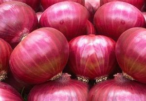 Fresh Big Red Onion