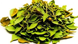 Henna Leaves, Color : Black, Green, Red, Purity : 100%, Form : Paste, Powder