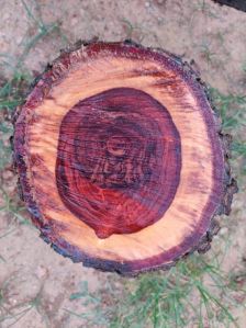 Red Sanders Wood