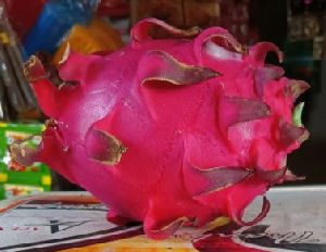 dragon fruit