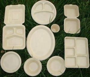 Bagasse Plate