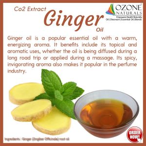 Ginger Oil