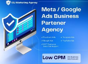 Meta Ads Management