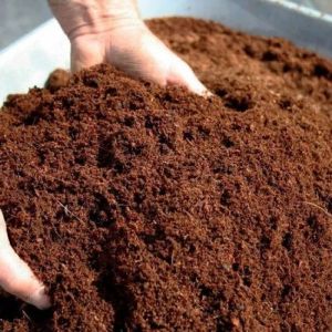 Cocopeat Powder, Color : Brown, Packaging Type : Plastic Bag