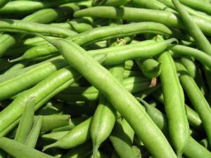 Fresh Green Beans