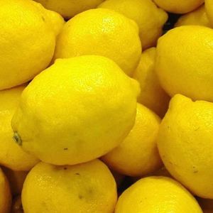 Organic Fresh Yellow Lemon, Packaging Type : Plastic Bag