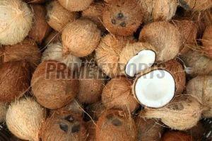 Whole Hard A Grade Coconut, Color : Brown, Packaging Size : 50-100kg