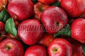 Organic A Grade Red Apple, Packaging Size : 10-50kg