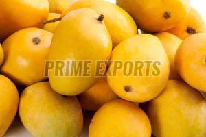 Organic Fresh Alphonso Mango, Packaging Size : 10-50kg