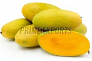 Organic Fresh Dasheri Mango, Packaging Size : 10-50kg