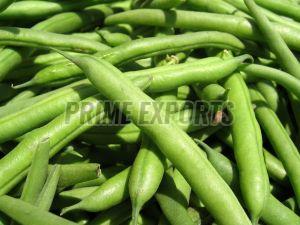 Organic Fresh Green Beans, Packaging Size : 10-50kg For Cooking