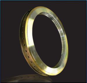 White Metal Hydrogen  Seal Ring