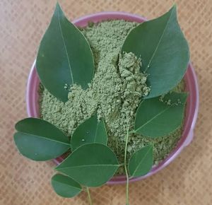 Shisham Leaf Powder