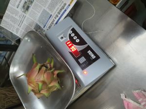 dragon fruit dragon fruit