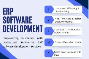 erp software development