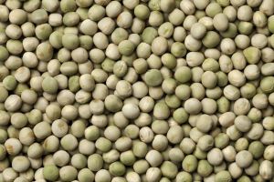 Dantewada Green Pea Seed for Cooking Use