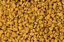 Natural Fenugreek Seed, Color : Yellow, Grade Standard : Food Grade