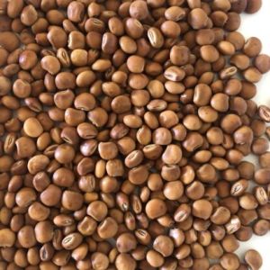 Natural Pusa 2001 Pigeon Pea Seed 14%