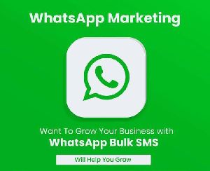 Whatsapp Marketing