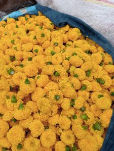 Fresh Marigold Flowers