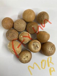 Areca Nuts