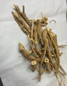 Dried Ashwagandha Root, Grade : Medicinal Grade