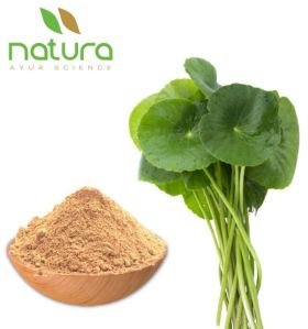 Natura Ayur  Centella Extract Powder