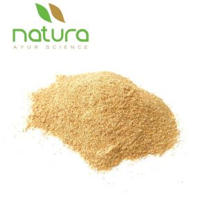 Common Natura Biotechnol Fenugreek Seed, For Food Medicine