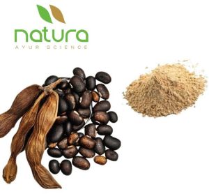 Natura Ayur  Mucuna Extract Powder