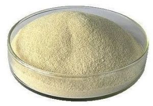 Sodium Alginate Powder